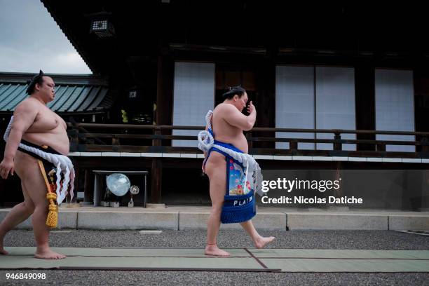 Wrestlers walk before a purification ceremony during 'Honozumo' ceremonial on April 16, 2018 in Tokyo, Japan. This annual offering of a Sumo...