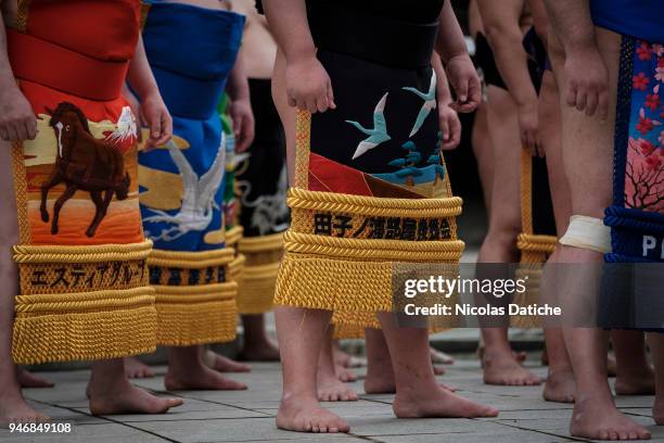 Wrestlers attend a purification ceremony during 'Honozumo' ceremonial on April 16, 2018 in Tokyo, Japan. This annual offering of a Sumo Tournament to...