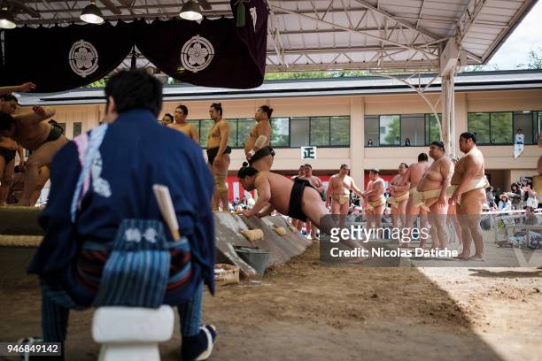 Wreslter warms up during 'Honozumo' ceremonial on April 16, 2018 in Tokyo, Japan. This annual offering of a Sumo Tournament to the divine at the...
