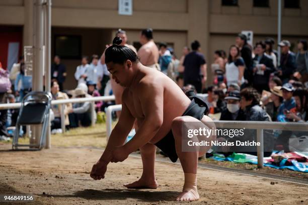 Wreslter warms up during 'Honozumo' ceremonial on April 16, 2018 in Tokyo, Japan. This annual offering of a Sumo Tournament to the divine at the...