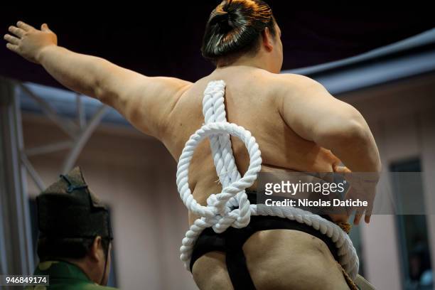 Yokuzuna wrestler performs a ring-entering rite during 'Honozumo' ceremonial on April 16, 2018 in Tokyo, Japan. This annual offering of a Sumo...