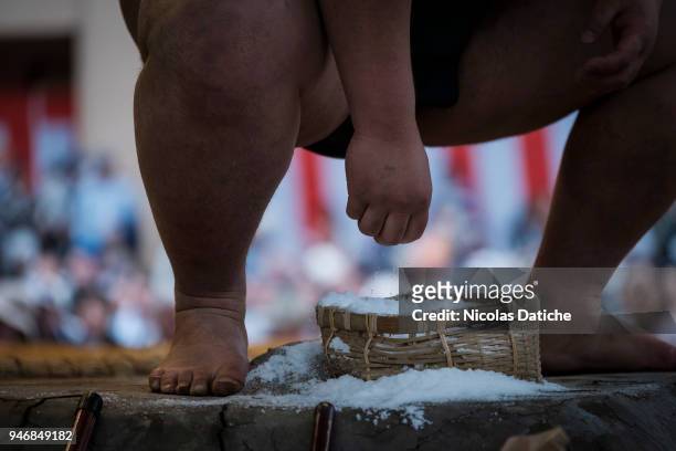 Wrestler grabs salt during 'Honozumo' ceremonial on April 16, 2018 in Tokyo, Japan. This annual offering of a Sumo Tournament to the divine at the...