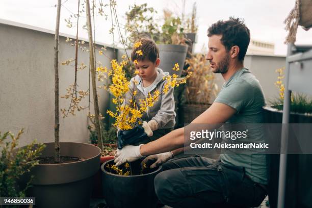 gardening time with my daddy - family gardening stock pictures, royalty-free photos & images