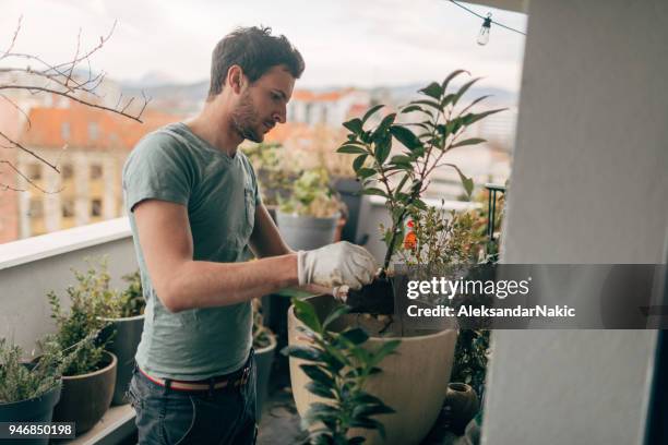 urban garden on top of the city - man planting garden stock pictures, royalty-free photos & images