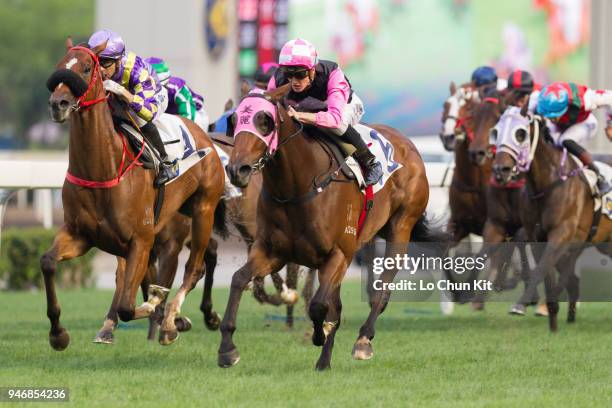 Jockey Chad Schofield riding Win Beauty Win wins Race 11 Yan Chau Tong Handicap at Sha Tin racecourse on April 15 , 2018 in Hong Kong.