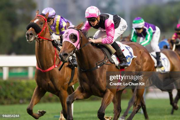 Jockey Chad Schofield riding Win Beauty Win wins Race 11 Yan Chau Tong Handicap at Sha Tin racecourse on April 15 , 2018 in Hong Kong.