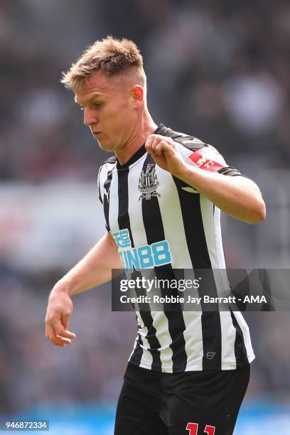 Matt Ritchie of Newcastle United during the Premier League match between Newcastle United and Arsenal at St. James Park on April 15, 2018 in...