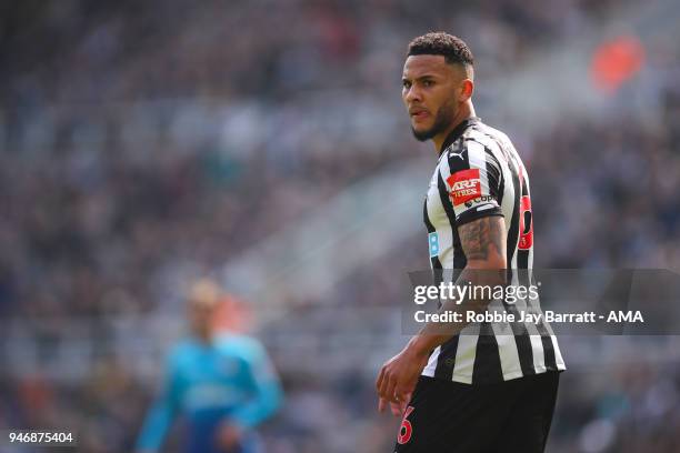 Jamaal Lascelles of Newcastle United during the Premier League match between Newcastle United and Arsenal at St. James Park on April 15, 2018 in...