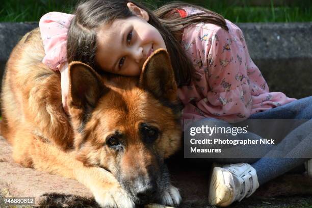 mans best friend. - stroud gloucestershire stock pictures, royalty-free photos & images