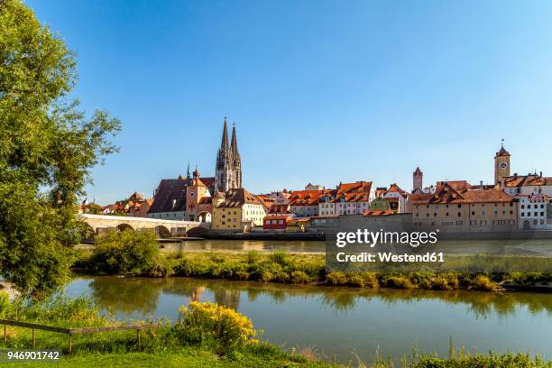 germany, regensburg, view of old town with cathedral and danube river in the foreground - regensburg stock-fotos und bilder