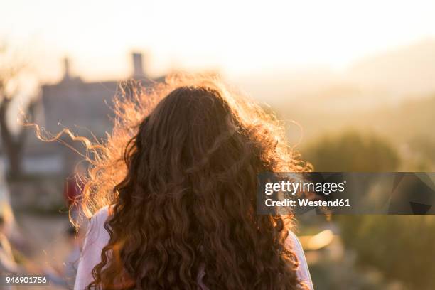 back view of young woman with long curly hair at sunset - brown hair blowing stock pictures, royalty-free photos & images