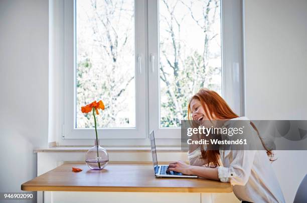 laughing redheaded woman sitting at table in front of window using laptop - mohn pflanze stock-fotos und bilder