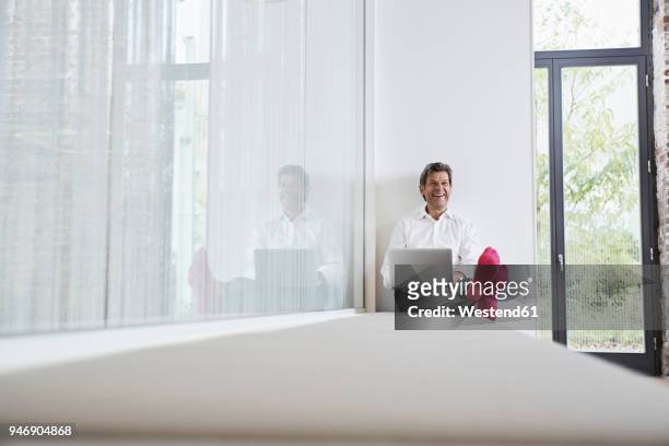 laughing businessman with pink socks using laptop in office - rosa germanica foto e immagini stock
