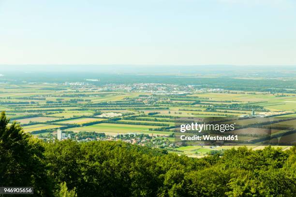 austria, lower austria, tulln an der donau - 下奧地利州 個照片及圖片檔