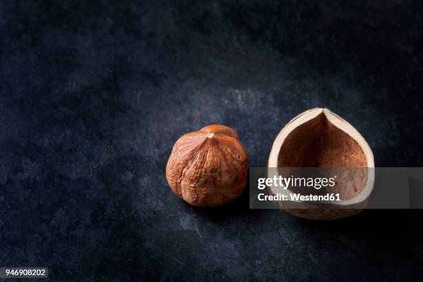 hazelnut and shell on dark ground - nutshell stock pictures, royalty-free photos & images