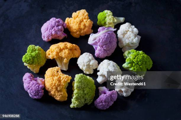 coloured cauliflower florets on dark background - cabbage family stock pictures, royalty-free photos & images