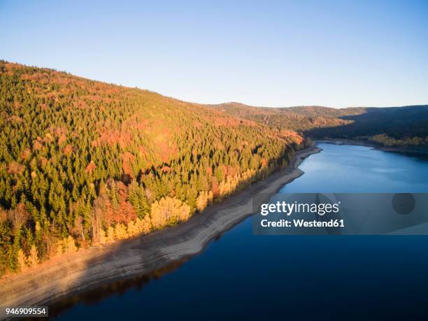 germany, bavaria, bavarian forest national park, drinking water reservoir frauenau in autumn - bayerischer wald national park bildbanksfoton och bilder