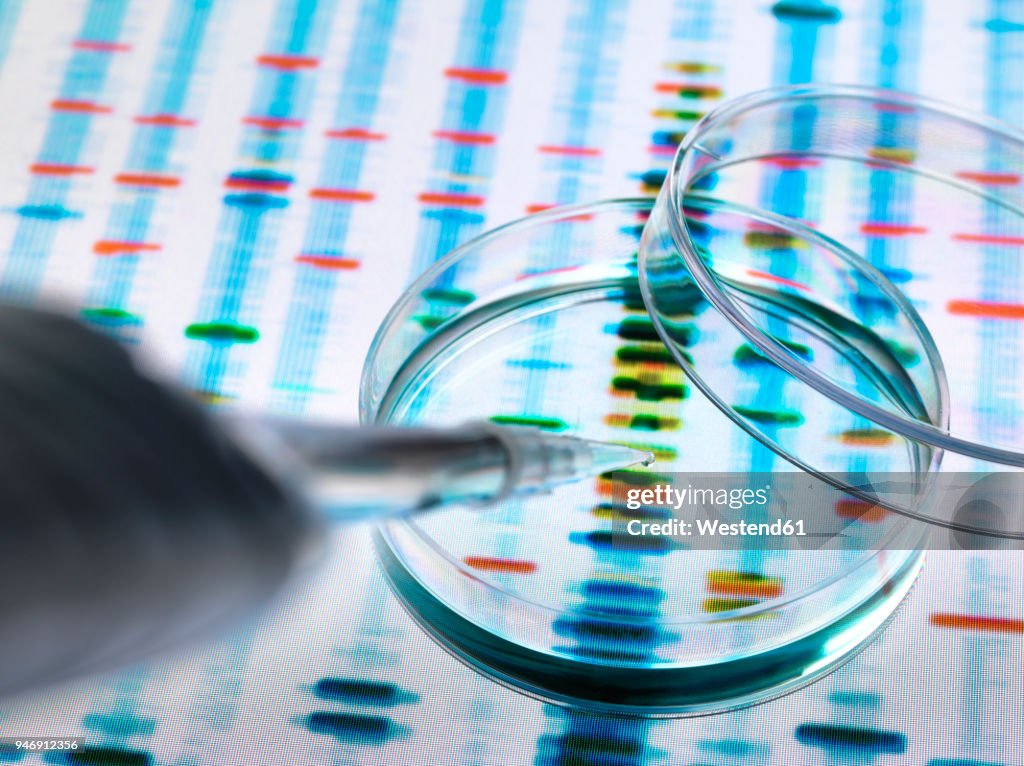 Sample of DNA being pipetted into a petri dish over genetic results