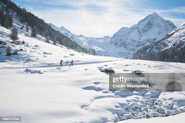austria, tyrol, luesens, sellrain, two cross-country skiers in snow-covered landscape - langlaufen stock-fotos und bilder