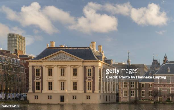 mauritshuis, den haag - mauritshuis stockfoto's en -beelden