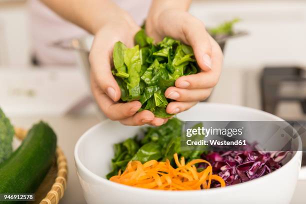 hands putting fresh lettuce into a bowl with different vegetables - salad bowl bildbanksfoton och bilder