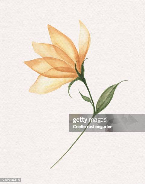 87 400点のカラー 花イラスト素材 Getty Images 87 400点のカラー 花イラスト素材 Getty Images