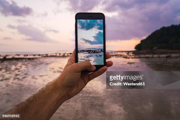 thailand, phi phi islands, ko phi phi, taking cell phone picture of purple sunset over the sea - beach photos - fotografias e filmes do acervo
