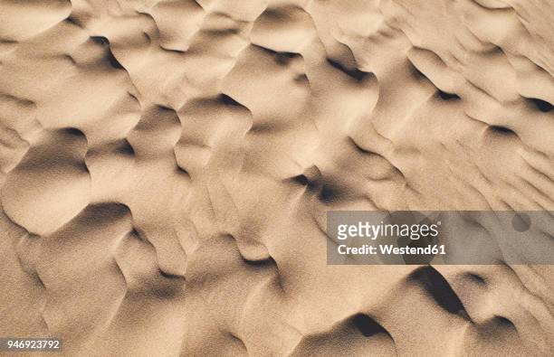 italy, sardinia, porto pino, dune, sand, ripple marks - sabbia foto e immagini stock