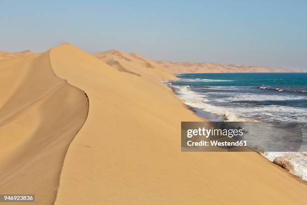 africa, namibia, namib-naukluft national park, namib desert, desert dunes and atlantic coast - namib desert stock pictures, royalty-free photos & images