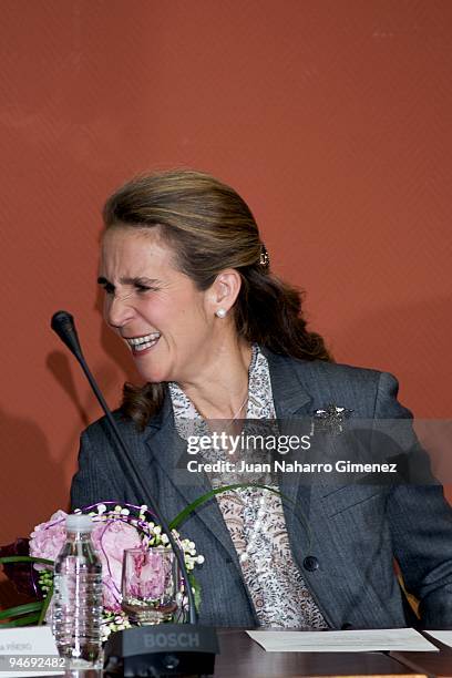 SPAin Spanish Princess Elena attends a meeting with Spanish Olympic Committee in Escuela Superior de Deportes on December 17, 2009 in Madrid, Spain.