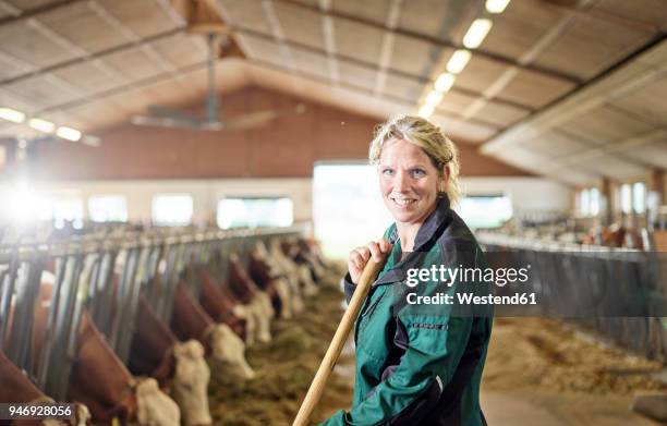 portrait of smiling female farmer in stable on a farm - dairy farm stock-fotos und bilder