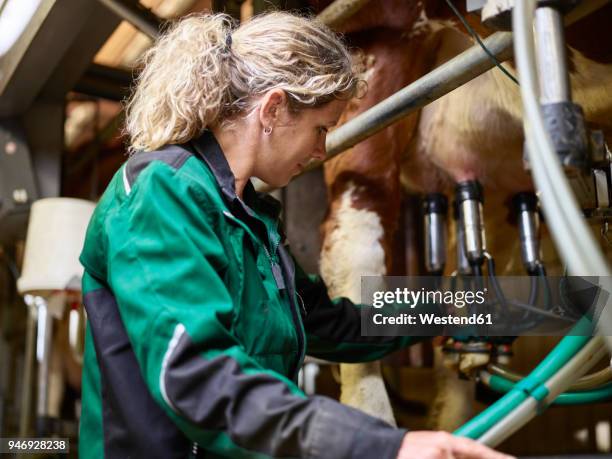 female farmer in stable milking a cow - milking machine ストックフォトと画像