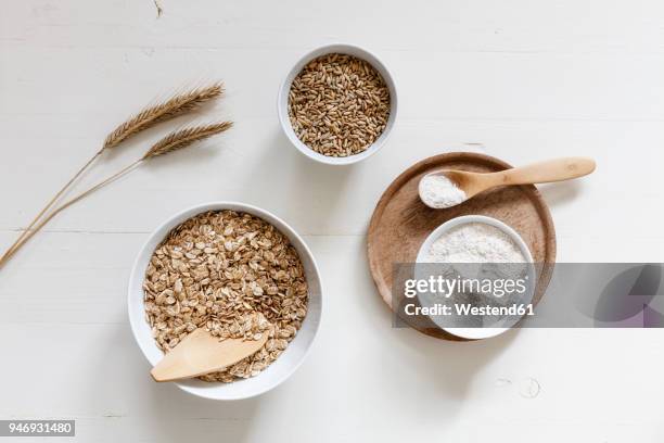 rye ears and bowls of rye flakes, rye flour and rye grains on white background - rye grain stock-fotos und bilder