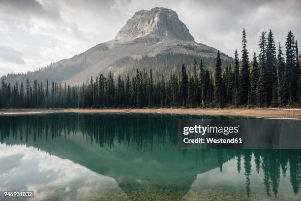 canada, british columbia, yoho lake, yoho national park, wapta mountain, rocky mountains - ヨーホー国立公園 ストックフォトと画像