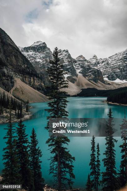 canada, alberta, valley of the ten peaks, banff national park, moraine lake - valley of the ten peaks stock pictures, royalty-free photos & images