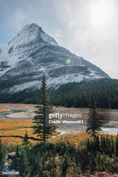 canada, british columbia, rocky mountains, mount robson provincial park, fraser-fort george h, mist glacier, robson river - glacier columbia photos et images de collection