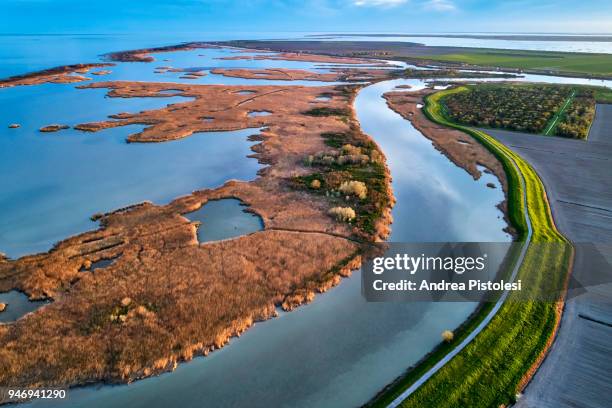 po river delta nature park, italy - venezia stock pictures, royalty-free photos & images