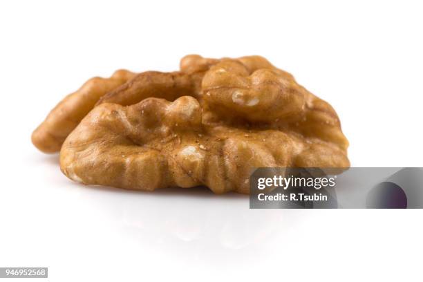 Open Nut Shell Open Nutshell Photos and Premium High Res Pictures - Getty Images