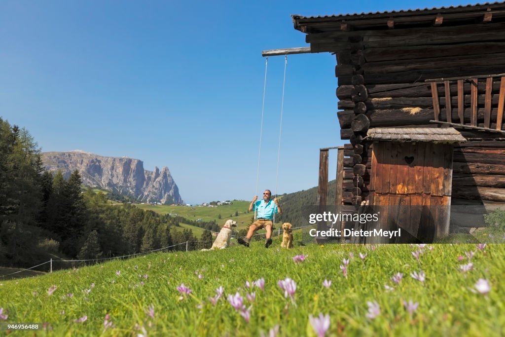 Three Friends, Man on swing with his two dogs enjoys the day, Alpe di Siusi