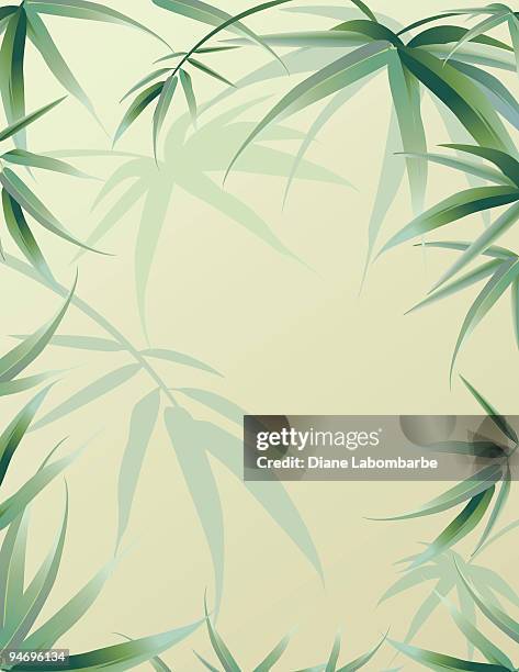 bamboo leaves background - bamboo leaf stock illustrations
