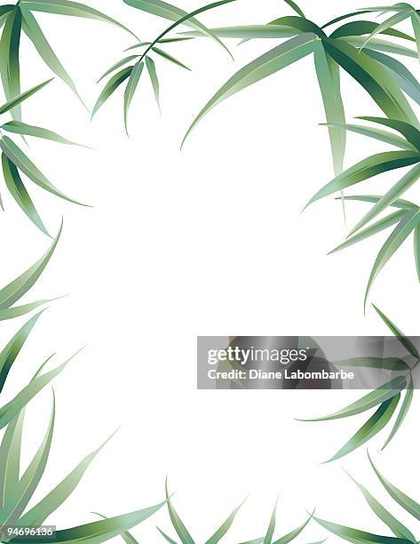 bamboo leaves frame - bamboo leaf stock illustrations