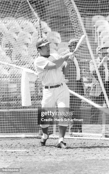 Johnny Bench Spring Training 3,502 Holman Stadium (Vero Beach) Stock Photos, High-Res Pictures, and ...