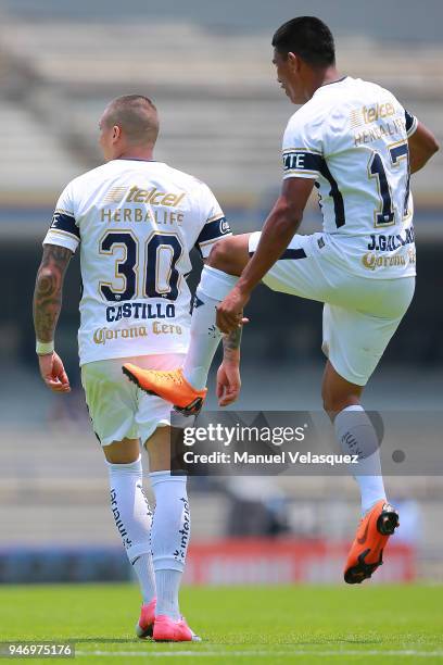 Nicolas Castillo of Pumas celebrates with teammate Jesus Gallardo after scoring a goal during the 15th round match between Pumas UNAM and Puebla as...