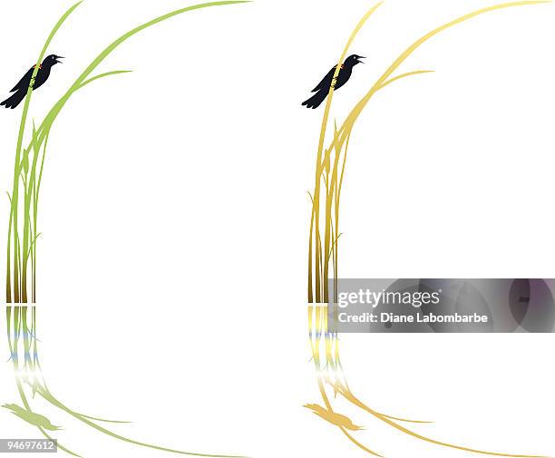 Diane Reed 358 Diane Reed Stock Photos, High-Res Pictures, and Images - Getty Images