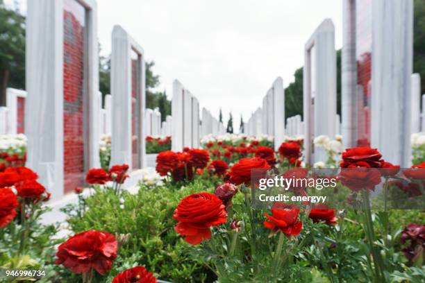 turkiska kyrkogård, slaget vid gallipoli - martyr bildbanksfoton och bilder