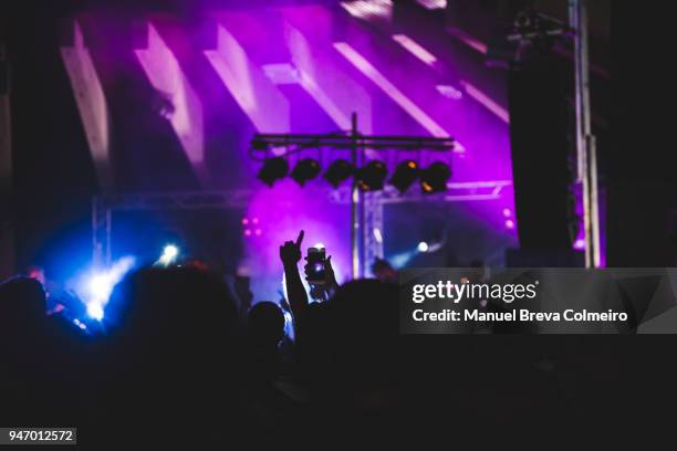 concert - metalhead stock pictures, royalty-free photos & images