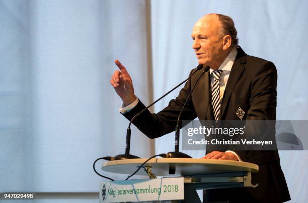 President Rolf Koenigs of Borussia Moenchengladbach talks during the Annual Meeting of Borussia Moenchengladbach at Borussia-Park on April 16, 2018...