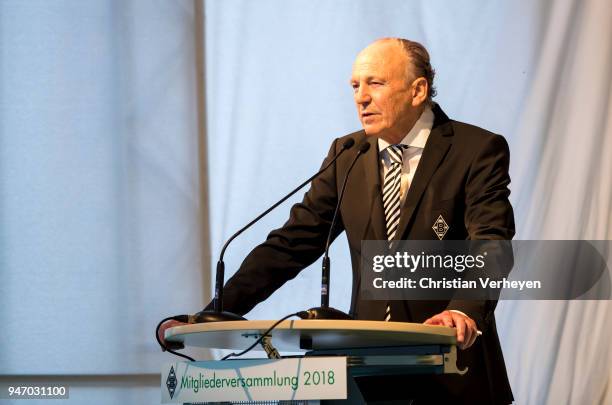 President Rolf Koenigs of Borussia Moenchengladbach talks during the Annual Meeting of Borussia Moenchengladbach at Borussia-Park on April 16, 2018...