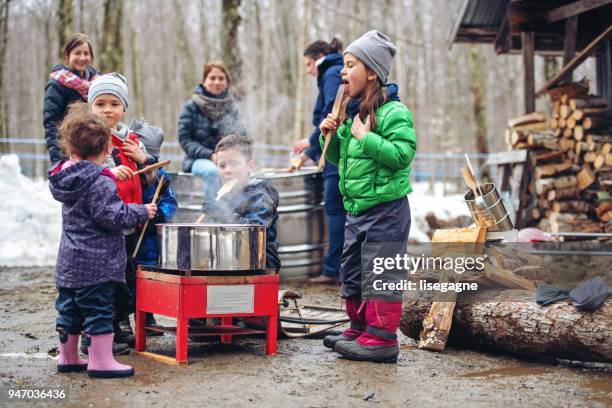 klein familiebedrijf van een ahornsiroop industrie - sugar shack stockfoto's en -beelden