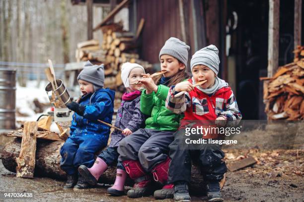 small family business of a maple syrup industry - hut stock pictures, royalty-free photos & images